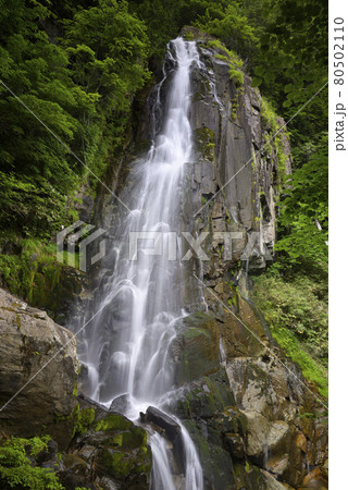 大倉滝　おおくら滝遊歩道（岐阜県高山市清見町） 80502110