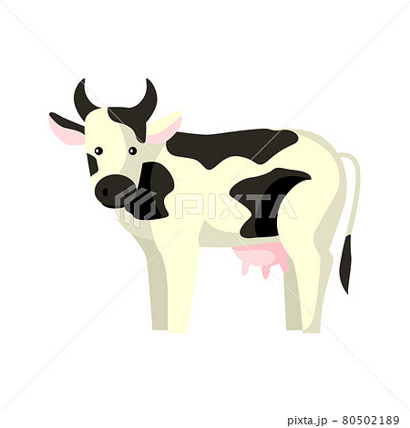 Cute cow isolated on white background. Funny cartoon character farm white and black color. 80502189