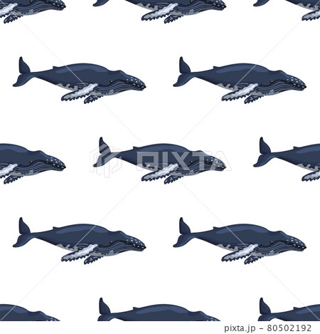 Seamless pattern Humpback whale on white background. Template of cartoon character of ocean for children. 80502192