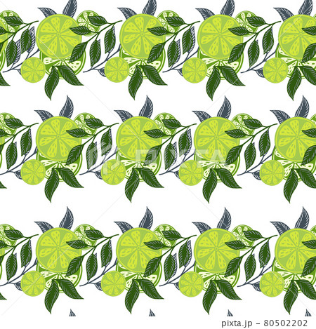 Isolated seamless pattern with green doodle lime slices citrus fruit ornament. White background. Simple style. 80502202