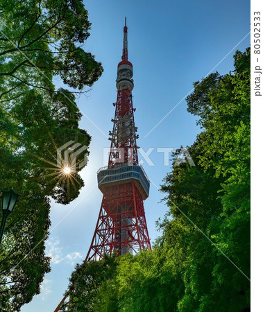 東京タワー 快晴と新緑 昼・クリアスカイ, Tokyo Tower Clear Sky, Green 東京タワー 快晴と新緑 昼・クリアスカイ, Tokyo Tower Clear Sky, Green 80502533