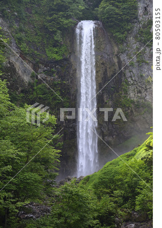 平湯大滝（岐阜県高山市奥飛騨温泉郷平湯） 80503155