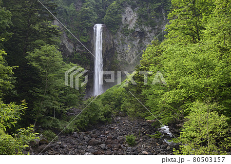 平湯大滝（岐阜県高山市奥飛騨温泉郷平湯） 80503157