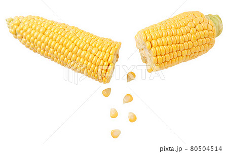 Peeled corn on the cob and broken drops on a white background, corn cut. Isolated 80504514