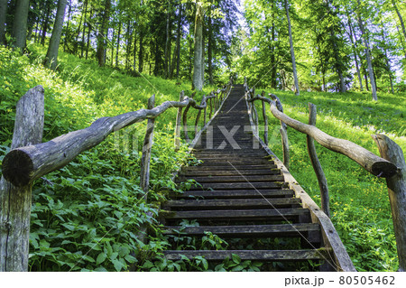 Wooden Stairs Going up on the Mountain and Forest 80505462