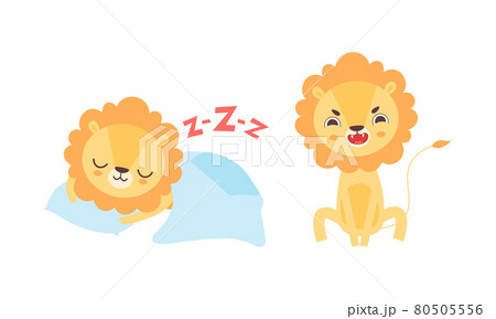 Adorable Lion Character Activities Set, Cute African Animal Sleeping in Bed and Roaring Cartoon Vector Illustration 80505556