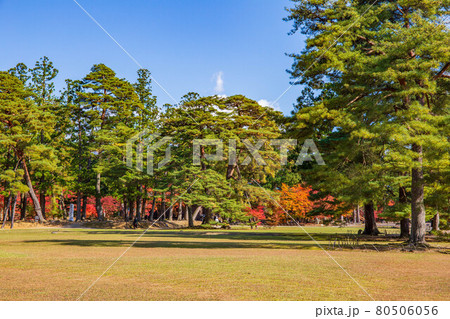 世界遺産平泉の秋　紅葉の毛越寺 80506056