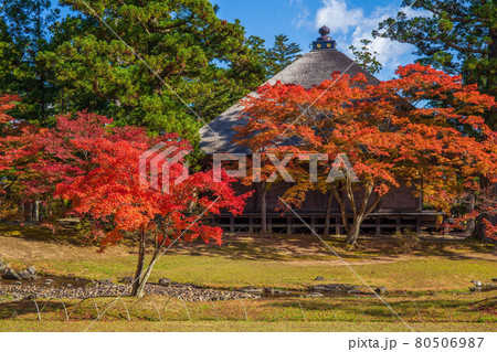 世界遺産平泉の秋　紅葉の毛越寺　遺水と常行堂 80506987