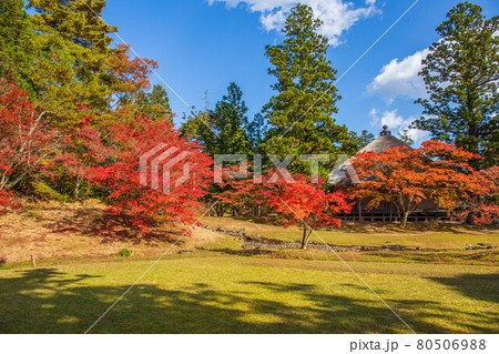 世界遺産平泉の秋　紅葉の毛越寺　遺水と常行堂 80506988