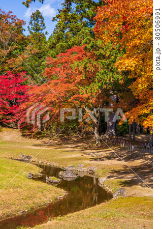 世界遺産平泉の秋　紅葉の毛越寺　遺水 80506991