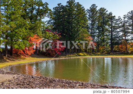 世界遺産平泉の秋　紅葉の毛越寺　浄土庭園 80507994