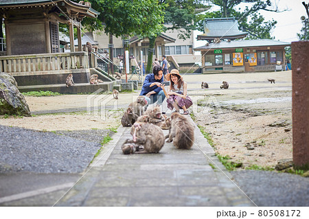 動物園デートで猿をスマホで撮影する若いカップル 撮影協力 高崎山自然動物園 の写真素材