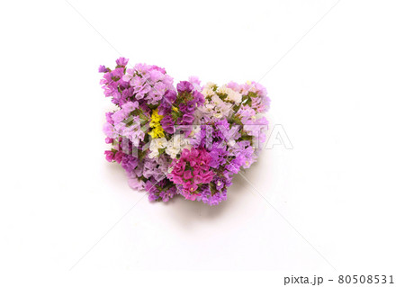 スターチスの花束の写真素材