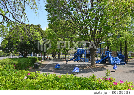 等々力緑地 神奈川県川崎市中原区等々力 等々力緑地 神奈川県川崎市中原区等々力 80509583