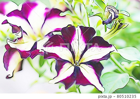 パステル調　”ペチニア”　イラストイメージ 80510235