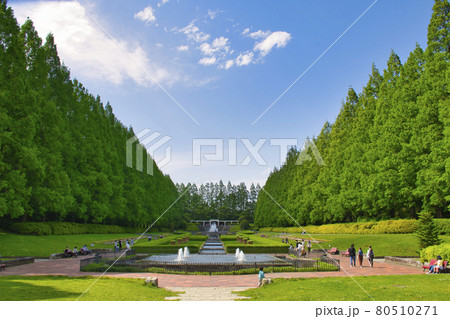 【相模原市】相模原公園 フランス式庭園 【相模原市】相模原公園 フランス式庭園 80510271