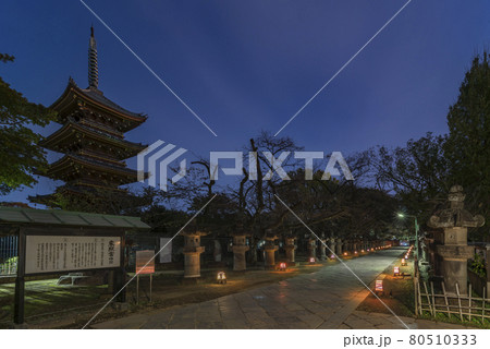 [東京・上野] 寛永寺の五重塔を沿って石灯篭に照らされる上野東照宮の参道の夜景。 80510333