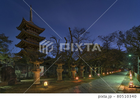 東京・上野] 寛永寺の五重塔と上野東照宮の参道で輝く石灯篭の夜景。の写真素材 [80510340] - PIXTA