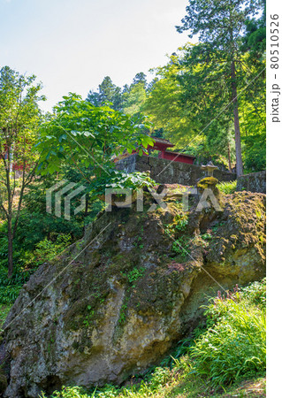 妙義神社　境内散策　岩石　　　　 80510526