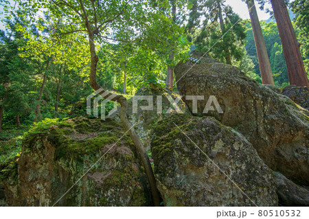 妙義神社 境内散策 岩石 妙義神社 境内散策 岩石 80510532