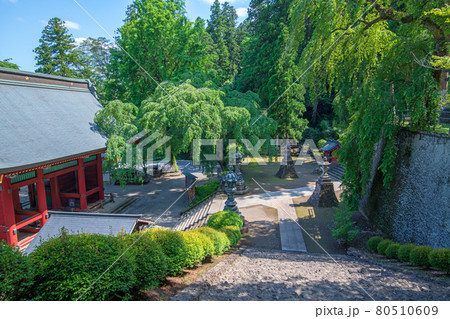 妙義神社　境内散策　総門付近　　　　　 80510609
