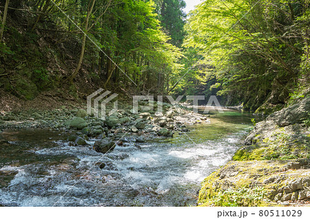 奥山を流れる清流の様子 80511029
