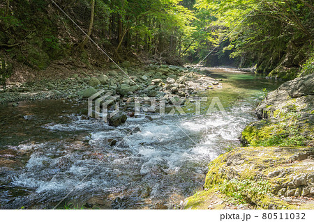 奥山を流れる清流の様子 80511032