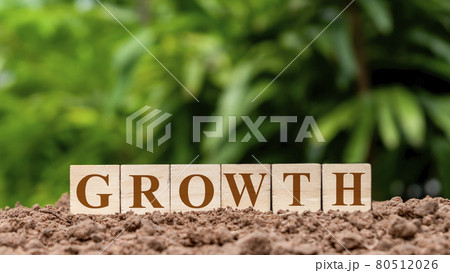 Square wooden blocks labeled growth on the ground money growth concept. Square wooden blocks labeled growth on the ground money growth concept. 80512026
