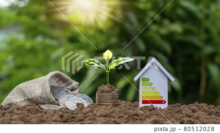 Trees grow on piles of money and energy-saving house models, energy-saving home ideas. Eco-friendly innovation Trees grow on piles of money and energy-saving house models, energy-saving home ideas. Eco-friendly innovation 80512028