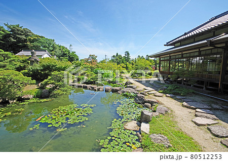蓮や睡蓮の花が咲く下関市の長府庭園書院と池 80512253