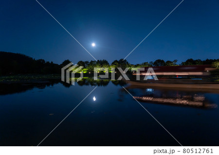 京都府京都市 大覚寺の観月の夕べで大沢池に浮かぶ龍頭鷁首舟の遊覧船の写真素材