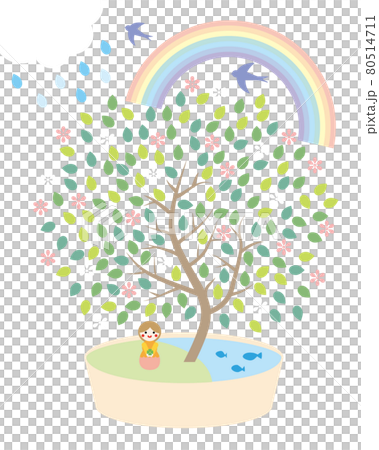 箱葉白色背景 箱葉白色背景 80514711