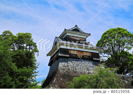 【熊本県】晴天下の熊本城　未申櫓 80515056