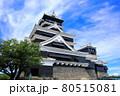 【熊本県】完全復旧した晴天下の熊本城 80515081