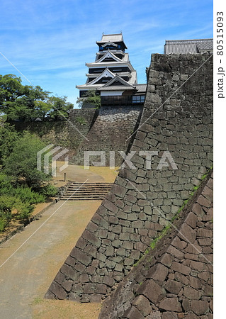 【熊本県】晴天下の熊本城　二様の石垣 80515093