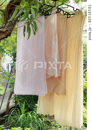 桜の枝で桜染め実験!面白い結果 桜の枝で桜染め実験!面白い結果 80516591