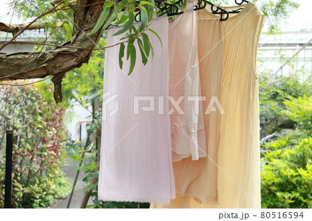 桜の枝で桜染め実験！面白い結果 80516594
