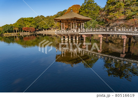 奈良県奈良市奈良公園内 紅葉の美しい鷺池に浮かぶ浮見堂 奈良県奈良市奈良公園内 紅葉の美しい鷺池に浮かぶ浮見堂 80516619
