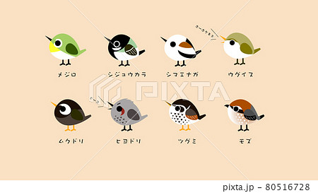 身近なかわいい野鳥セットのイラスト素材