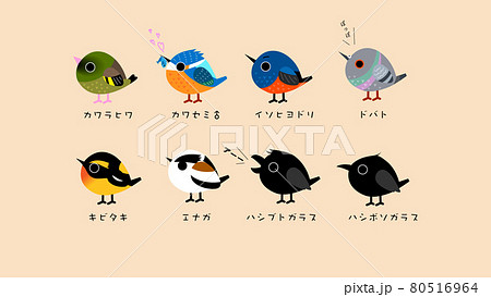 Familiar Cute Wild Bird Set Stock Illustration