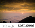 阿里山 朝の光 夕日 80516996