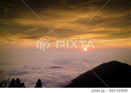 阿里山 朝の光 夕日 80516996