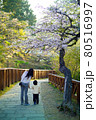 桜 さくら サクラ 80516997
