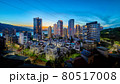 ナイトシーン 夕映 夜景 80517008