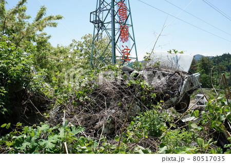 廃墟　廃バス　廃車体　草ヒロ　長野県　長野市　長電バス　長野電鉄　バス 80517035