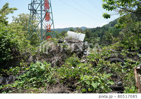 廃墟　廃バス　廃車体　草ヒロ　長野県　長野市　長電バス　長野電鉄　バス 80517085