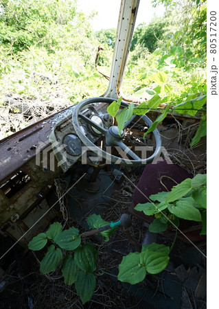 廃墟　廃バス　廃車体　草ヒロ　長野県　長野市　長電バス　長野電鉄　バス 80517200