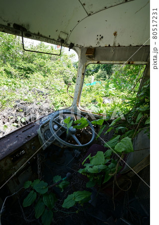 廃墟　廃バス　廃車体　草ヒロ　長野県　長野市　長電バス　長野電鉄　バス 80517231