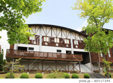 道の駅みき・金物展示館/兵庫県三木市福井2426 道の駅みき・金物展示館/兵庫県三木市福井2426 80517394