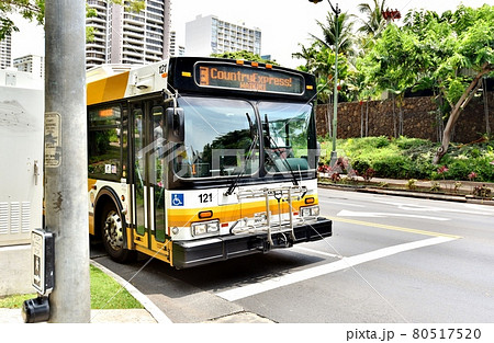 ハワイの休日 80517520